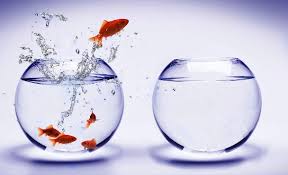 En kötü sonucu kabullenen, en iyi sonucu elde edecektir. Çünkü sorunla en yıkılmaz cesaretle boğuştuğunuz an, en kötü sonucu göze aldığınız andır.