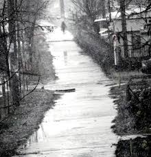 Göklerde uçmak mucize değildir, ya da suyun üstünde yürümek.Asıl mucize yeryüzünde yürümektir.