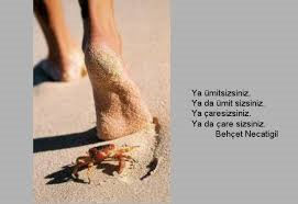 “Ya ümitsizsiniz, Ya da ümit sizsiniz, Ya çaresizsiniz Ya da çare sizsiniz''